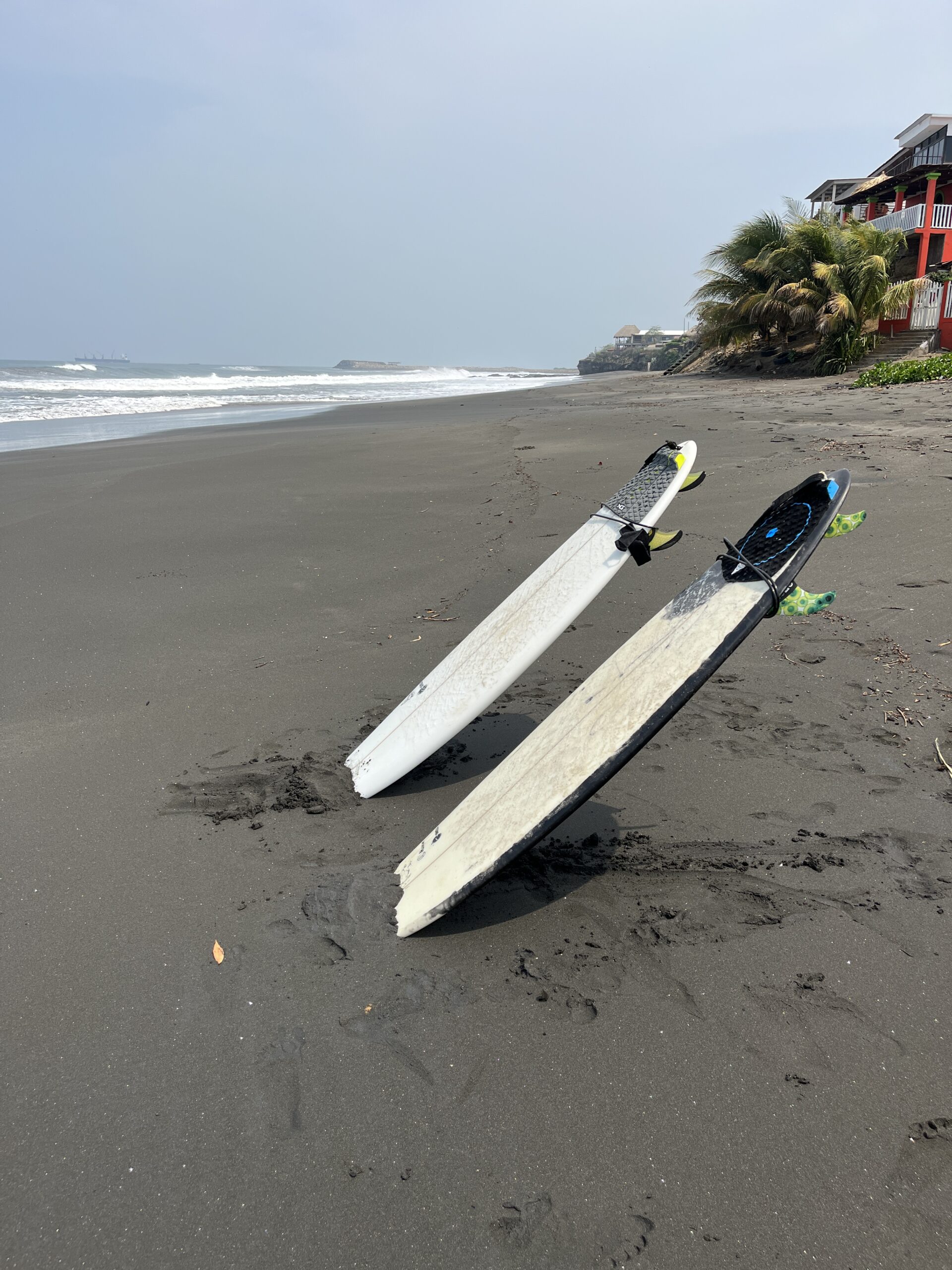 PXM - High Performance - Image 5